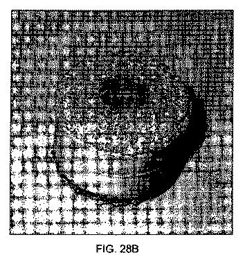 5726536-多孔質生体適合性ポリマー材料および方法 図000042