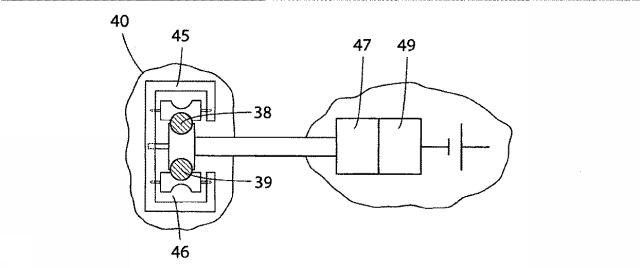 5830513-卵管内の精子の流れを制御する装置 図000042