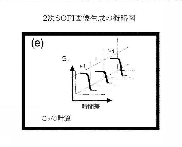 5856252-超解像光ゆらぎイメージング（ＳＯＦＩ） 図000042