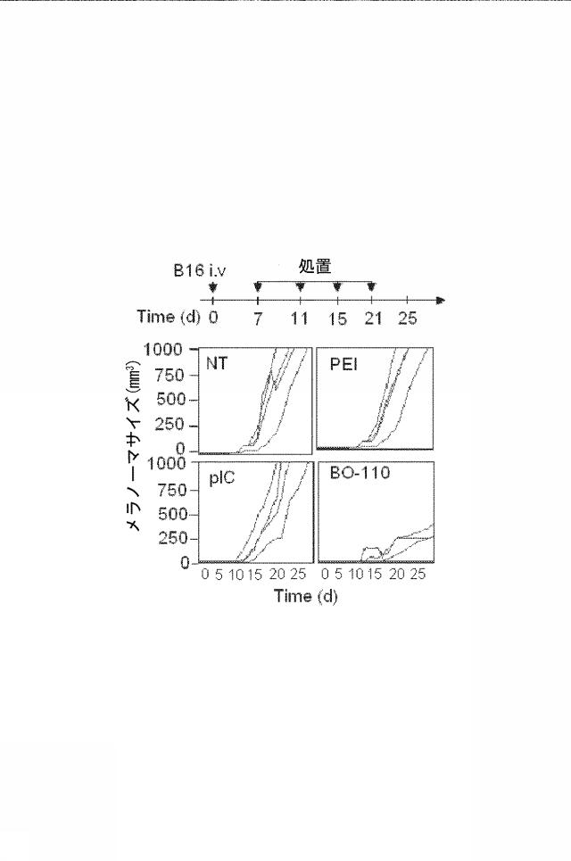 6222749-医薬組成物及びその使用 図000042