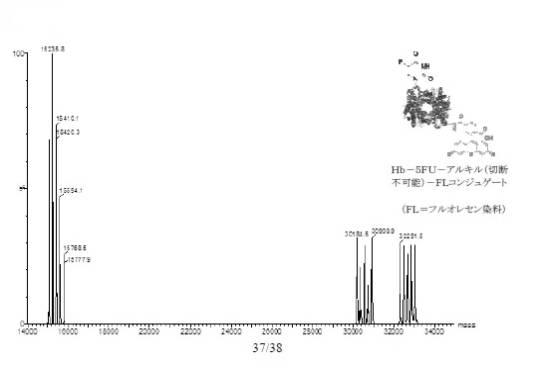 6392855-がん治療および診断イメージングのための修飾ヘモグロビンベース系治療剤を含む医薬組成物 図000042