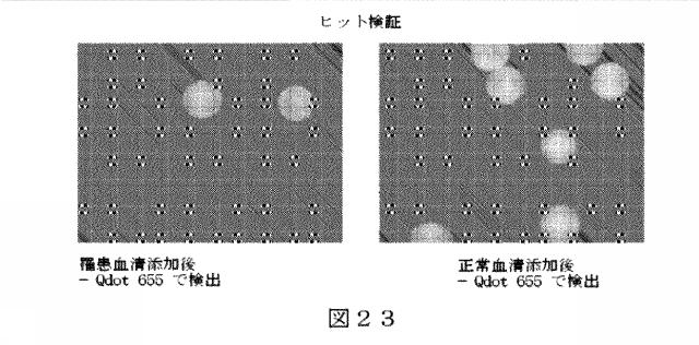 6412798-リガンドライブラリーを用いた診断および処置方法 図000042
