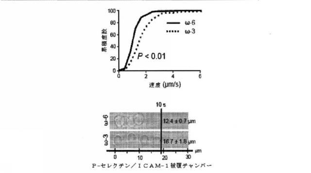 6526570-炎症及び血管形成を減少させるＣＹＰ４５０脂質メタボライト 図000042