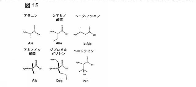 6568161-構造化ポリペプチドの特異性のモジュレーション 図000042