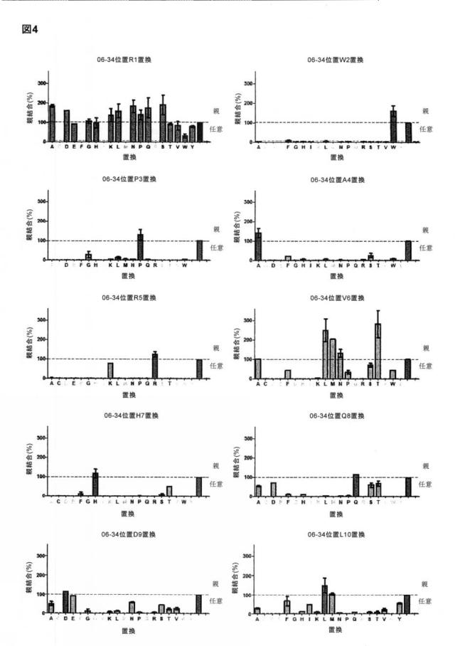 6588890-構築されたポリペプチド特異性のモジュレーション 図000042