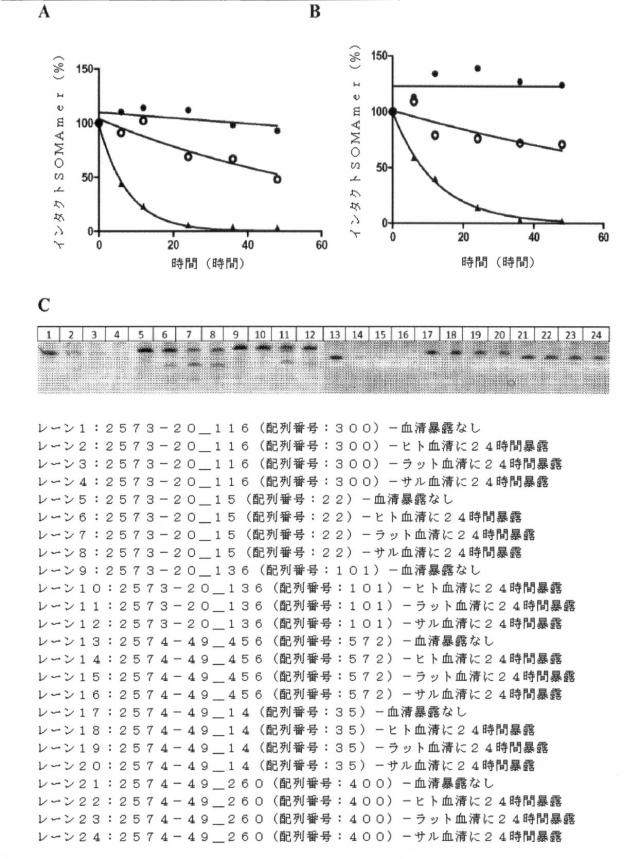 6591392-ＩＬ−６に結合するアプタマー及びＩＬ−６介在性状態の治療または診断におけるそれらの使用 図000042