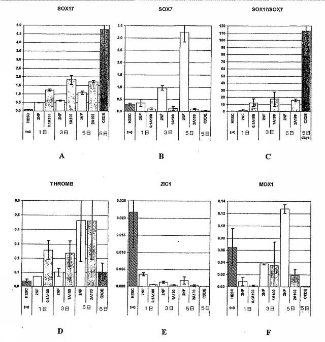 6595041-ＰＤＸ１発現背側及び腹側前腸内胚葉 図000042