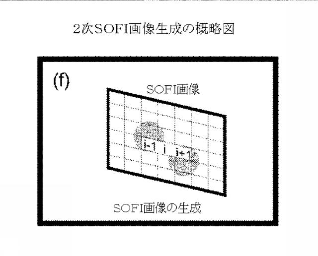 5856252-超解像光ゆらぎイメージング（ＳＯＦＩ） 図000043