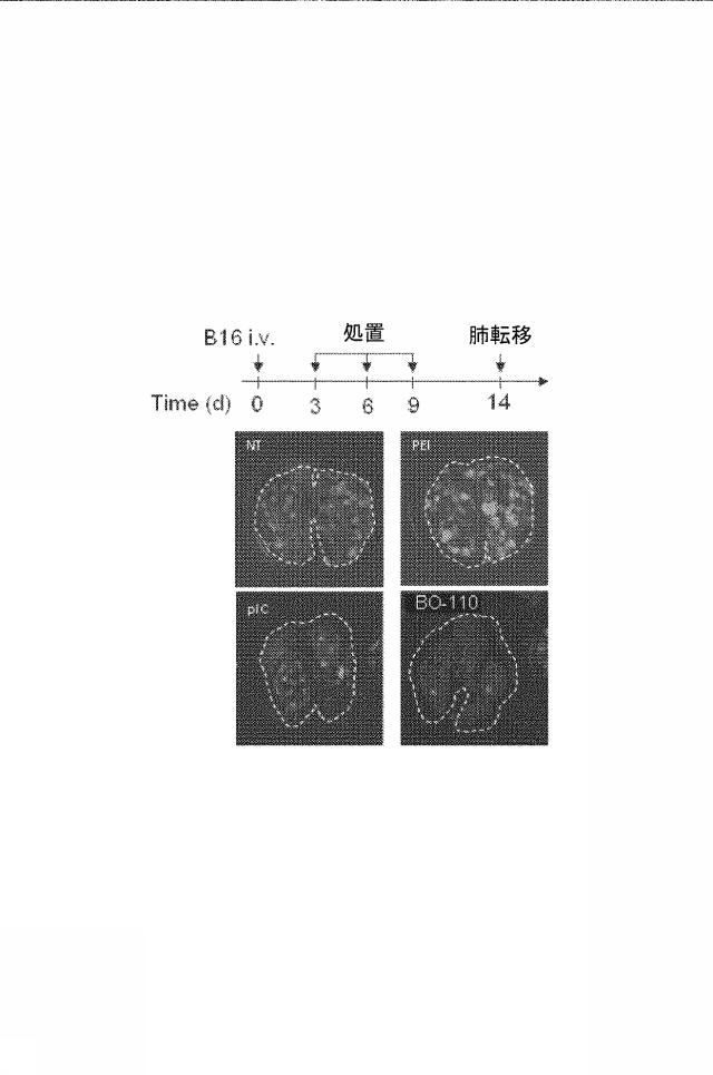 6222749-医薬組成物及びその使用 図000043