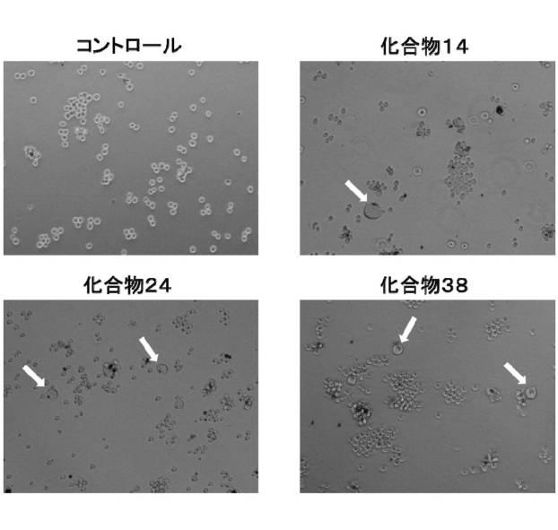 6285352-３−デセン酸誘導体およびその用途 図000043