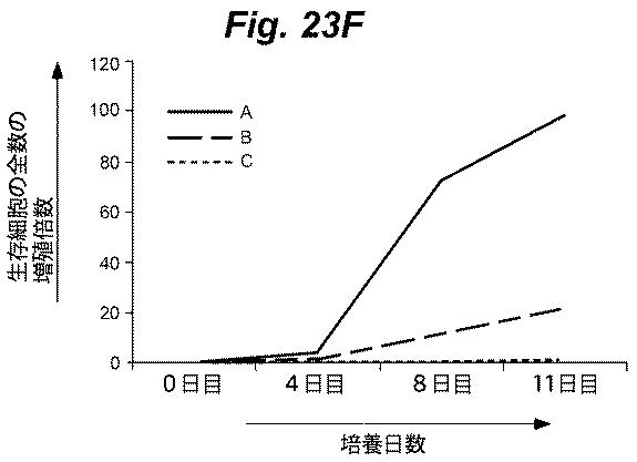 6386447-養子細胞療法のための改良された細胞培養法 図000043