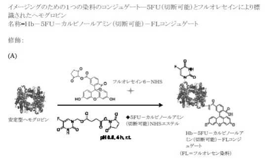 6392855-がん治療および診断イメージングのための修飾ヘモグロビンベース系治療剤を含む医薬組成物 図000043