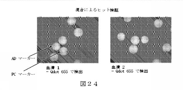 6412798-リガンドライブラリーを用いた診断および処置方法 図000043