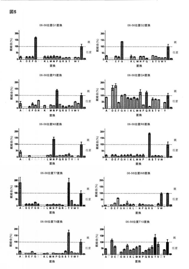 6588890-構築されたポリペプチド特異性のモジュレーション 図000043