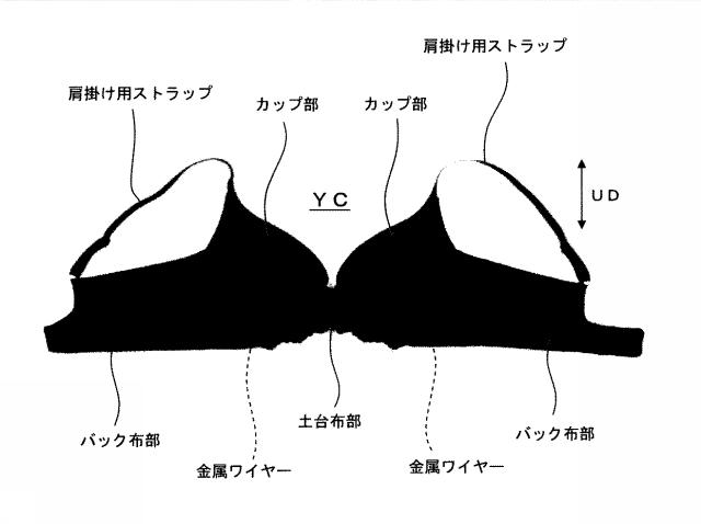 6874237-カップ部用樹脂ワイヤー、及びカップ部付き衣類 図000043