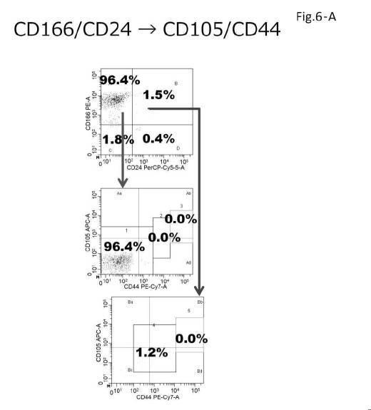 6954682-ヒト機能性角膜内皮細胞およびその応用 図000043