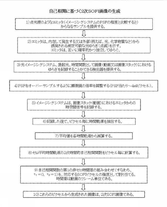 5856252-超解像光ゆらぎイメージング（ＳＯＦＩ） 図000044