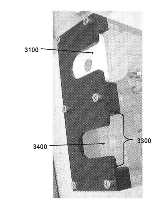 6190395-単一信号で複数被検体を検出する方法及び組成物 図000044