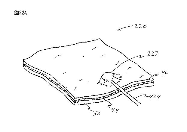 6235672-粘膜下医療処置を実行するための方法及びシステム 図000044