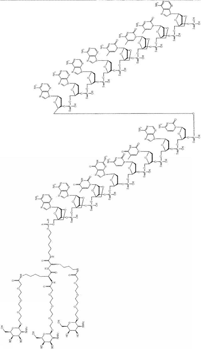 6255092-ＰＣＳＫ９を標的とするアンチセンスオリゴマーおよびコンジュゲート 図000044