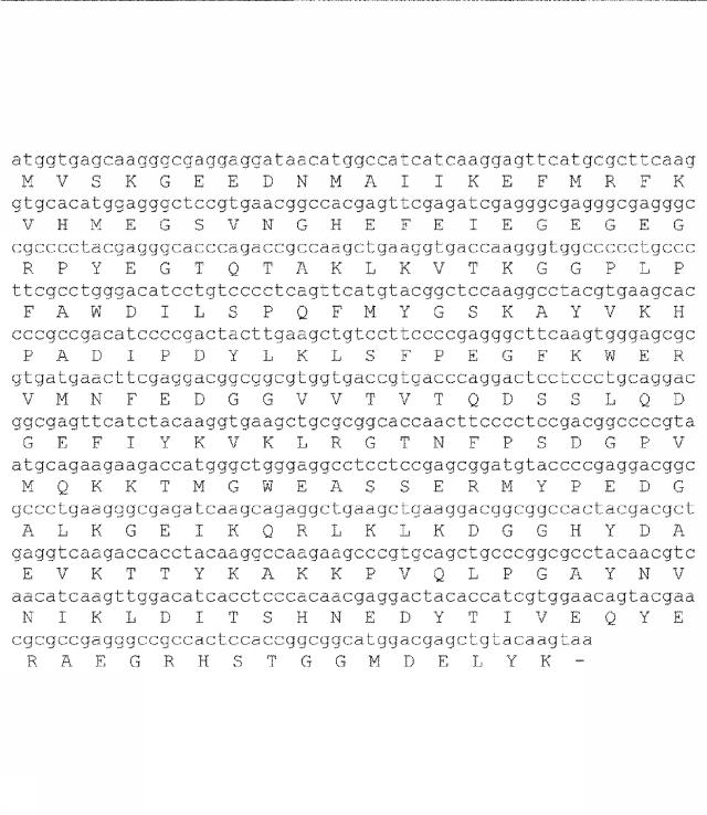 6259766-フラタキシンレベルを増加させる方法および生成物ならびにその使用 図000044