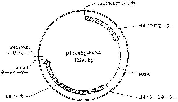 6290626-糖化プロセスにおける粘度を低下させる方法 図000044