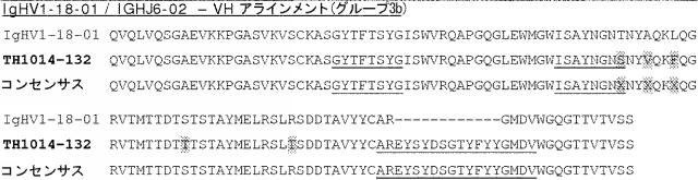 6341963-ＨＥＲ２に対するモノクローナル抗体 図000044