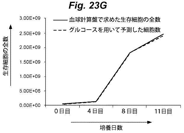 6386447-養子細胞療法のための改良された細胞培養法 図000044