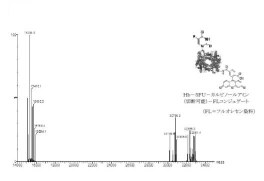 6392855-がん治療および診断イメージングのための修飾ヘモグロビンベース系治療剤を含む医薬組成物 図000044
