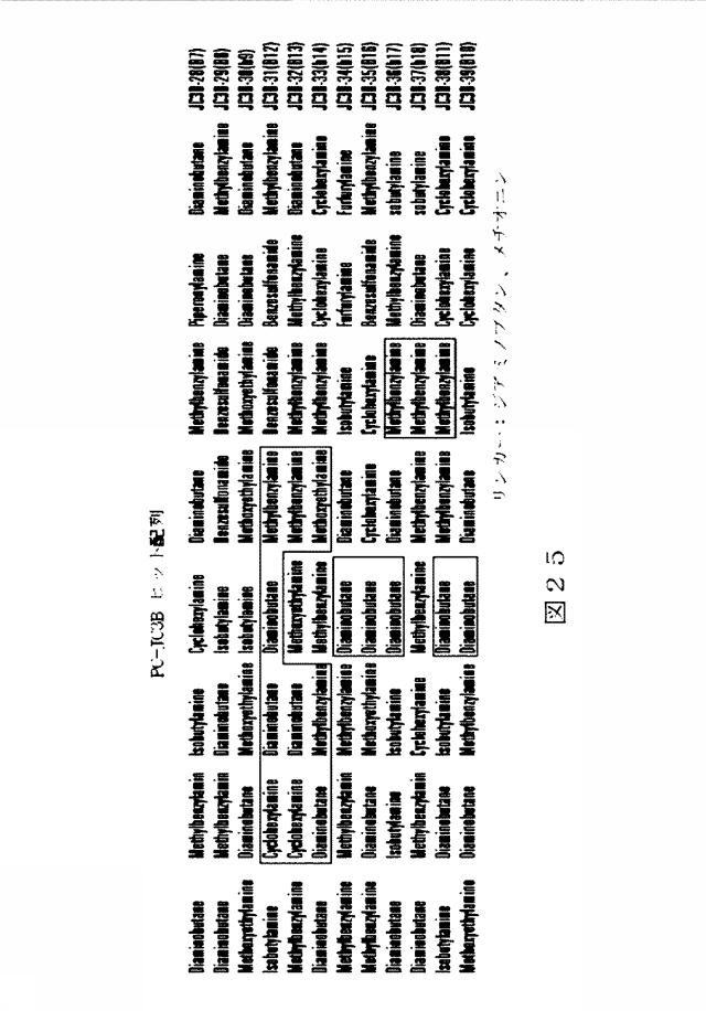 6412798-リガンドライブラリーを用いた診断および処置方法 図000044