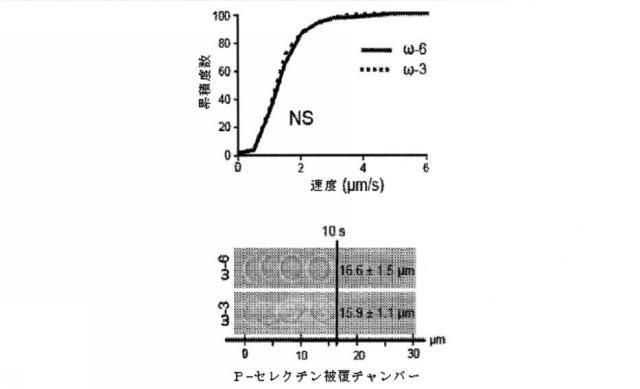 6526570-炎症及び血管形成を減少させるＣＹＰ４５０脂質メタボライト 図000044