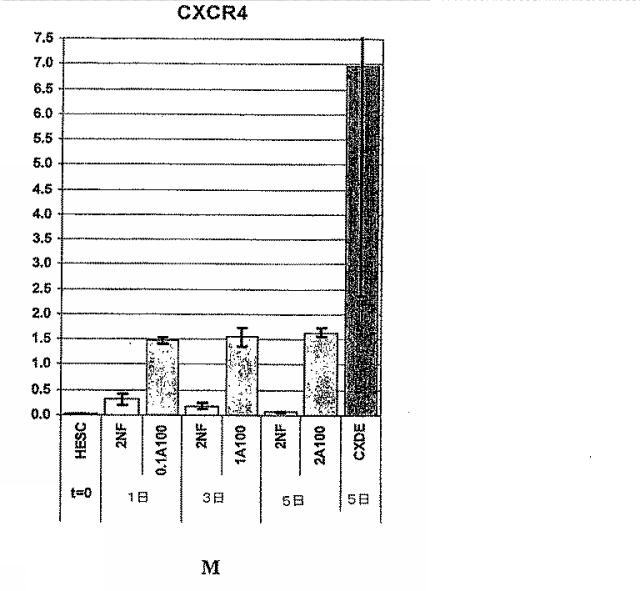 6595041-ＰＤＸ１発現背側及び腹側前腸内胚葉 図000044