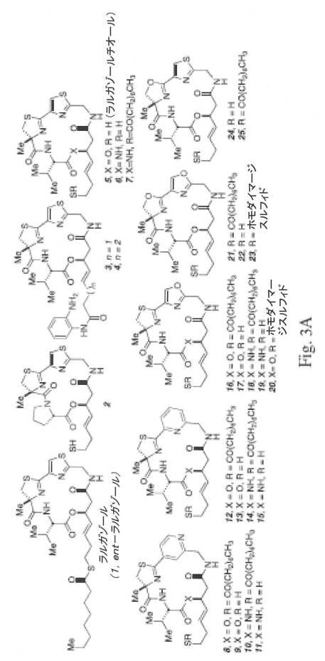 6785801-新しいキャップ基ラルガゾールの類似体の合成及び使用 図000044