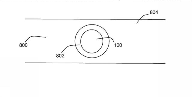 6818174-抗ウイルス及び他の効果を有するウエアラブル光線治療器 図000044