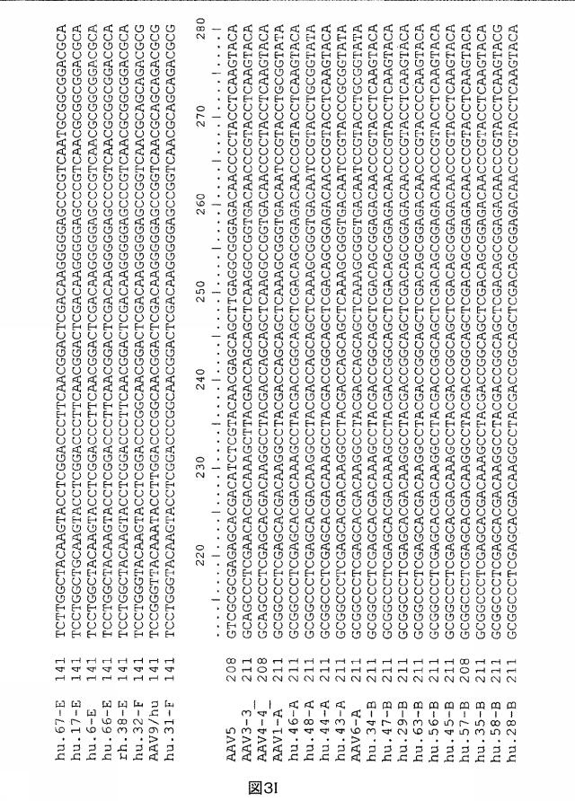 5797397-アデノ随伴ウイルス（ＡＡＶ）の同源系統群（クレイド）、配列、それらを含有するベクターおよびそれらの用途 図000045