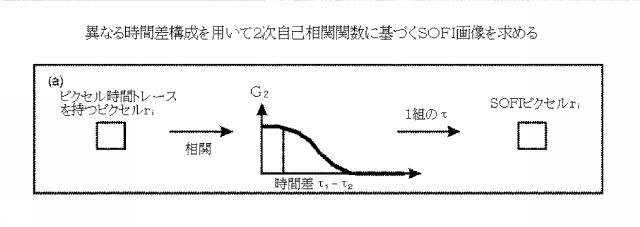 5856252-超解像光ゆらぎイメージング（ＳＯＦＩ） 図000045