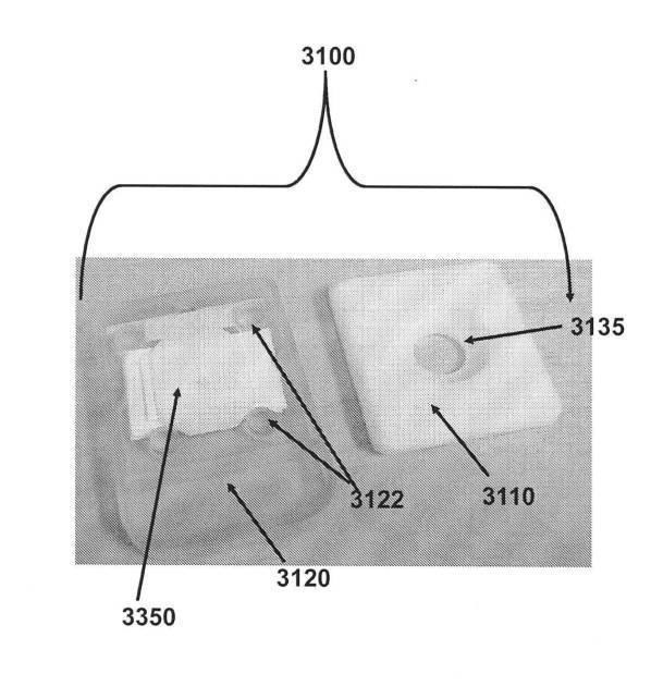 6190395-単一信号で複数被検体を検出する方法及び組成物 図000045