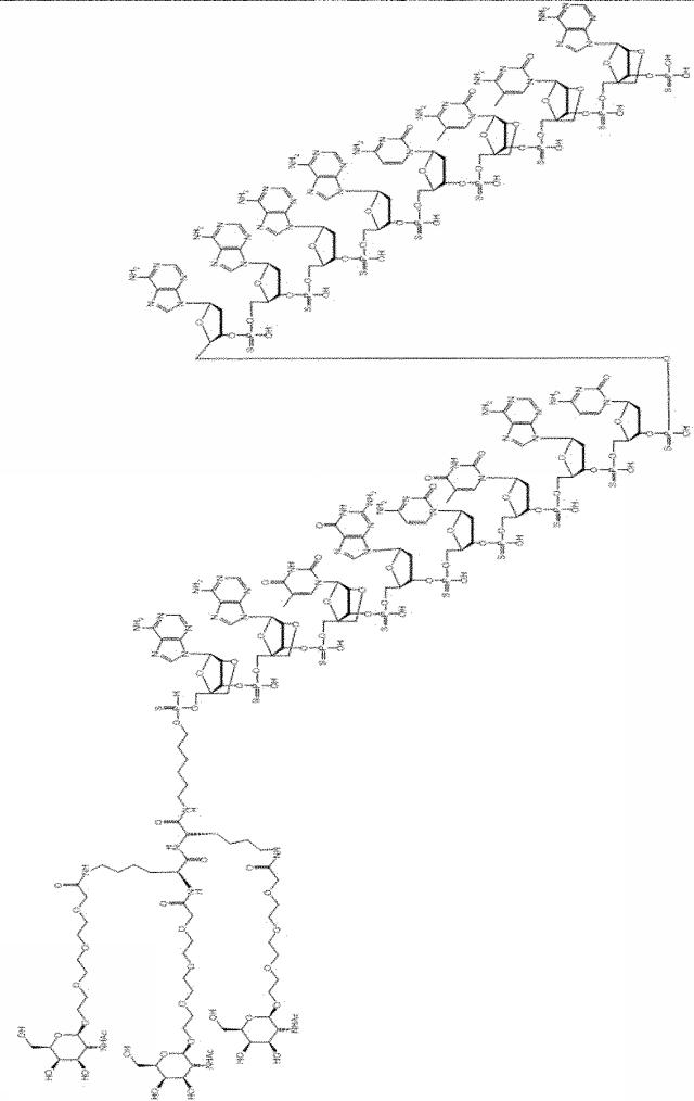 6255092-ＰＣＳＫ９を標的とするアンチセンスオリゴマーおよびコンジュゲート 図000045