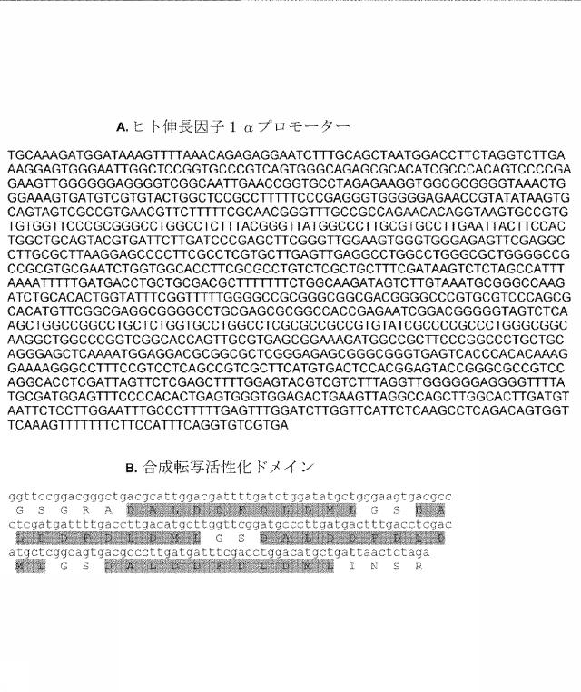 6259766-フラタキシンレベルを増加させる方法および生成物ならびにその使用 図000045