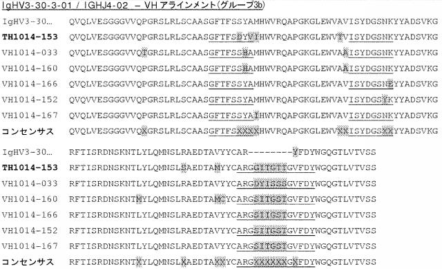 6341963-ＨＥＲ２に対するモノクローナル抗体 図000045