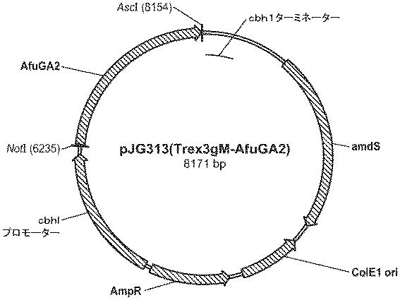 6499081-アスペルギルス・フミガタス（Ａｓｐｅｒｇｉｌｌｕｓｆｕｍｉｇａｔｕｓ）由来のグルコアミラーゼを発現するトリコデルマ・レーシ（Ｔｒｉｃｈｏｄｅｒｍａｒｅｅｓｅｉ）宿主細胞、及びその使用方法 図000045