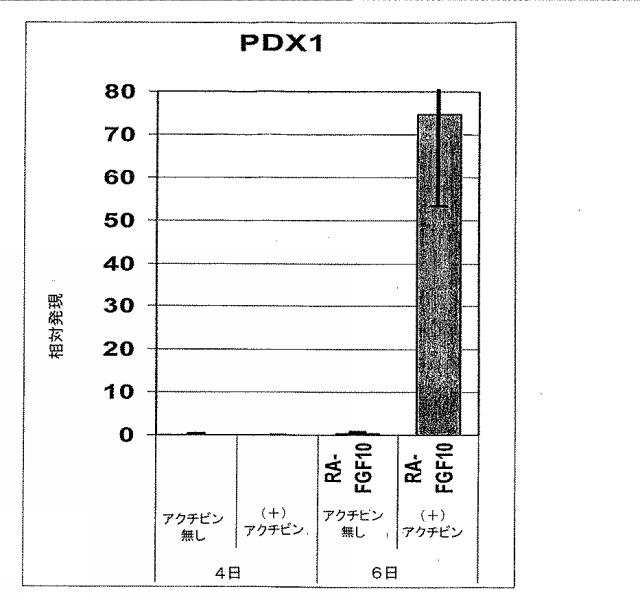 6595041-ＰＤＸ１発現背側及び腹側前腸内胚葉 図000045