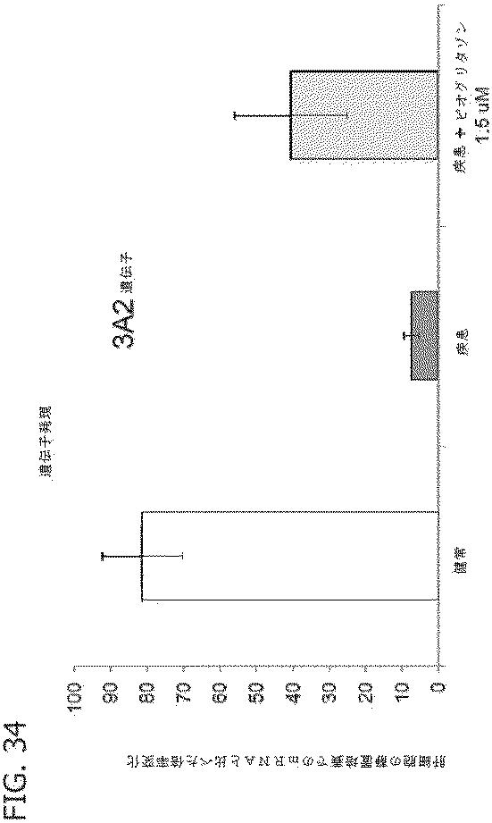 6684706-腫瘍微細環境のための試験管内モデル 図000045