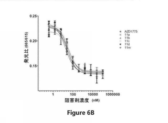 6692423-Ｗｅｅ１キナーゼ阻害剤、並びにそれを作製及び使用する方法 図000045