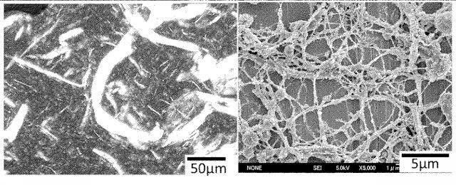 6775160-疎水化セルロース系繊維用の解繊助剤、それを使用する樹脂組成物の製造方法並びに成形体 図000045