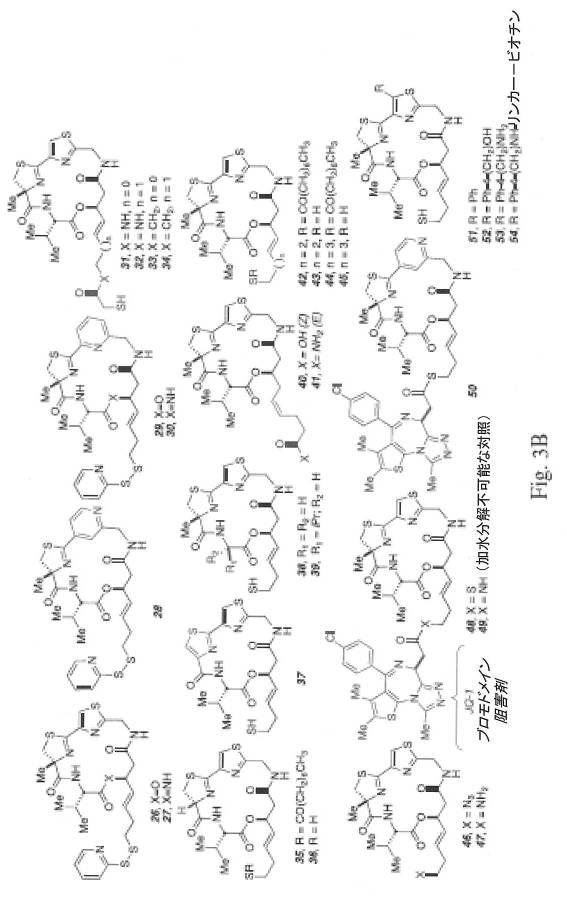 6785801-新しいキャップ基ラルガゾールの類似体の合成及び使用 図000045