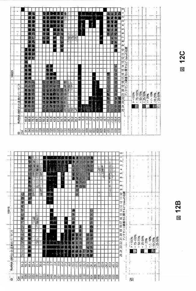 5697993-修飾ＲＮＡｉポリヌクレオチドおよびその使用 図000046