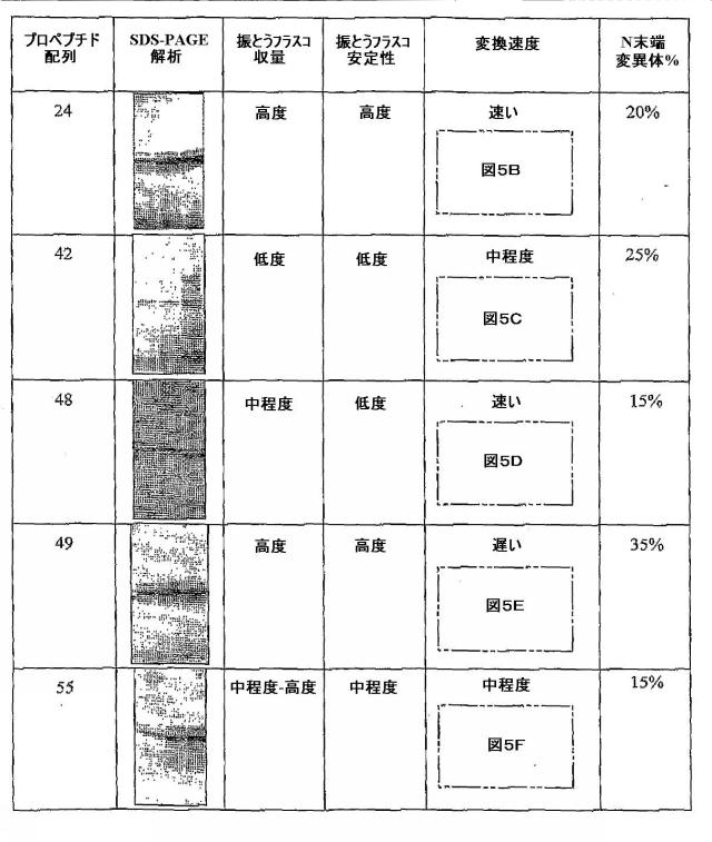 5829808-組換えエラスターゼタンパク質ならびにその製造方法および使用 図000046