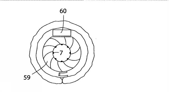 5830513-卵管内の精子の流れを制御する装置 図000046