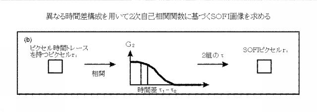 5856252-超解像光ゆらぎイメージング（ＳＯＦＩ） 図000046